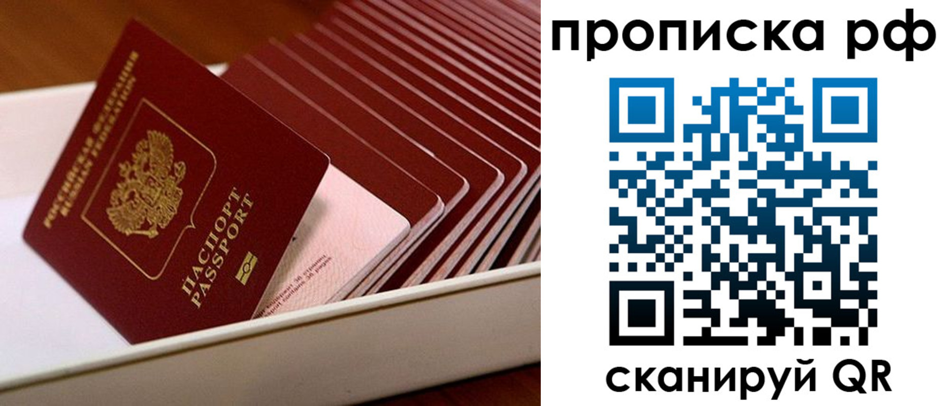 пропишу в квартире в Владимире